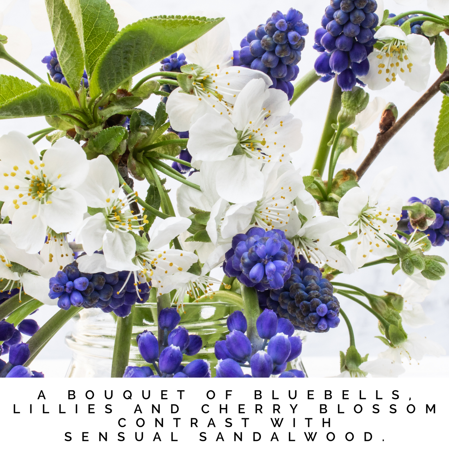 CAPTIVATE Linen & Room Spray