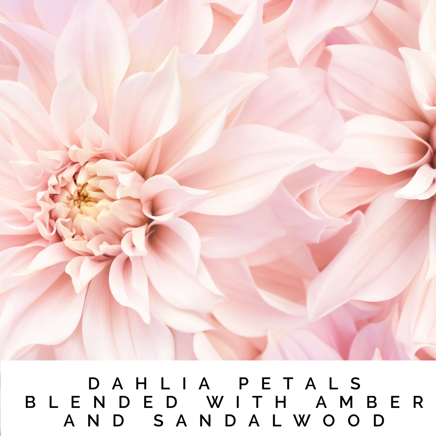 LOVE Reed Diffuser