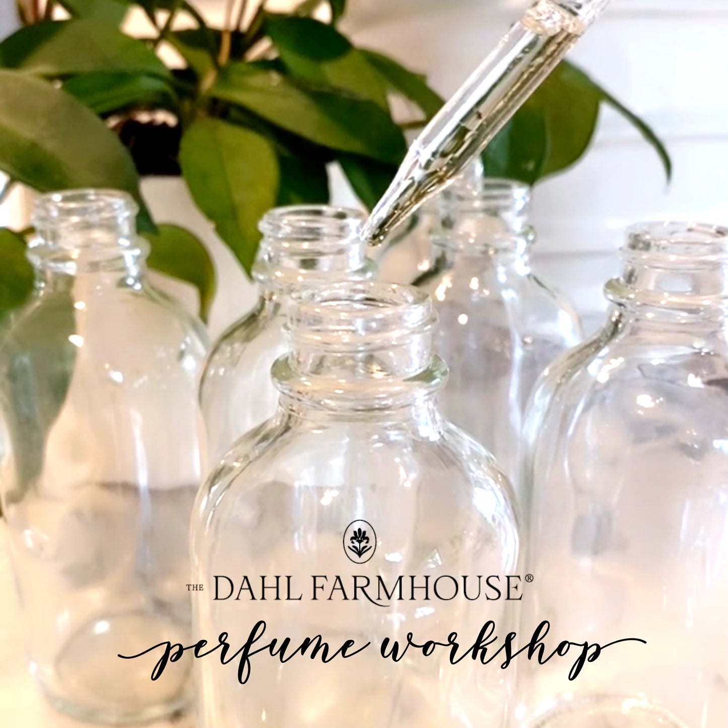 Perfume Workshop