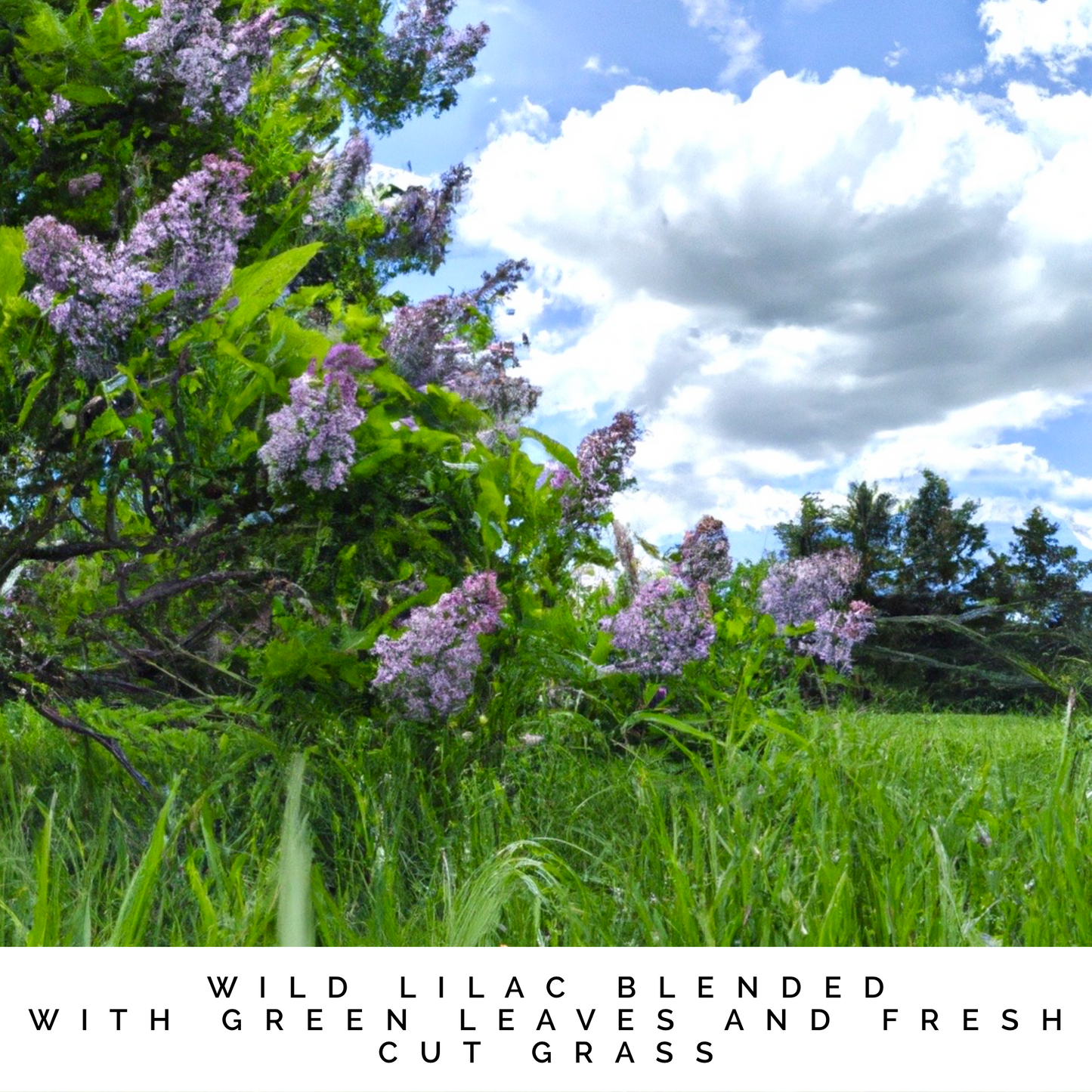 SERENITY Linen and Room Spray