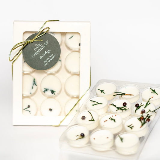 HOLIDAY 2oz Wax Melts