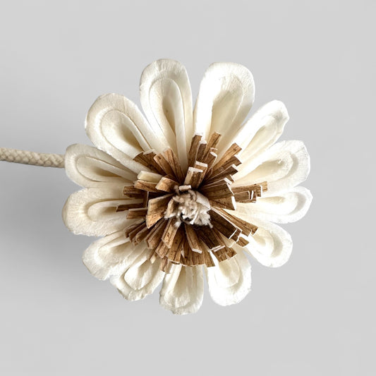 Small Carnation Diffuser Flower